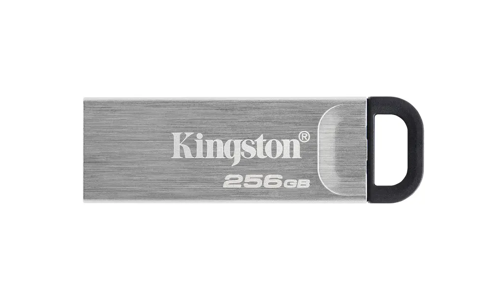 USB memorija KINGSTON DTKN/256GB/Kyson/3.2/srebrna